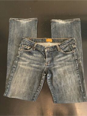 James Jeans Medium Wash Straight Leg Jeans